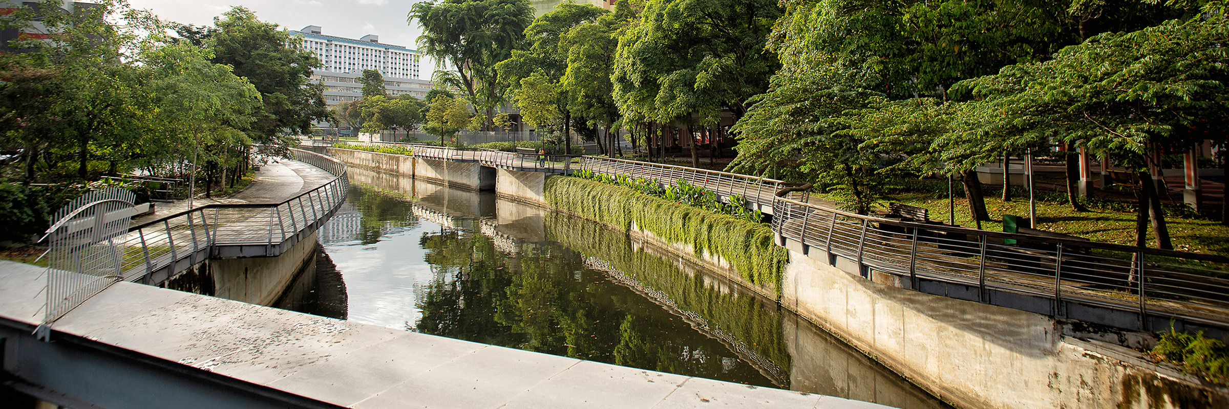 Estanque de un parque en una ciudad